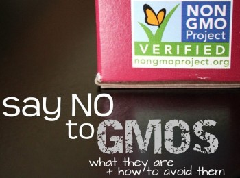 Say-No-to-GMOs-What-They-Are-and-How-to-Avoid-Them- (2)