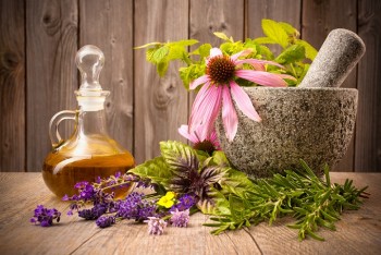 "Herbs that treat joint pain"