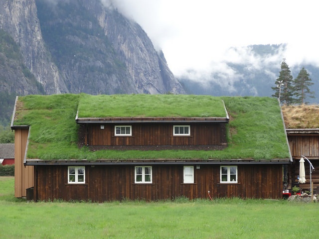 Green home and building