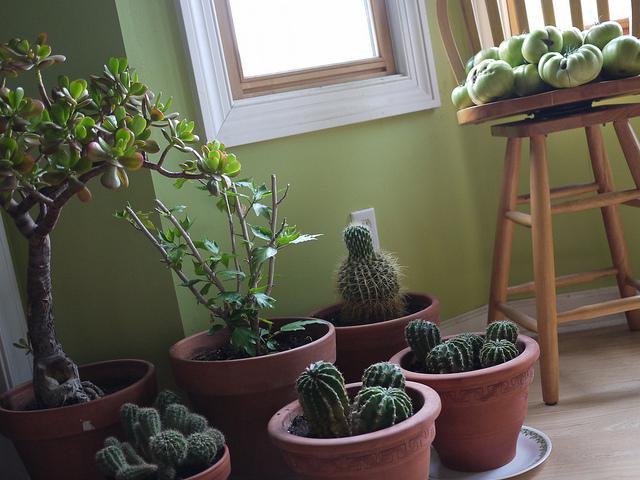 4 Cost Efficient DIY Methods for Green Living