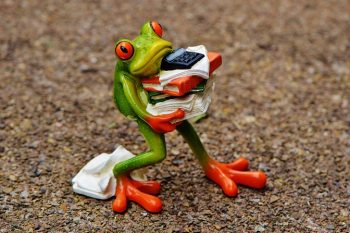 stress and gut health