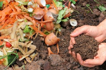 Trench composting