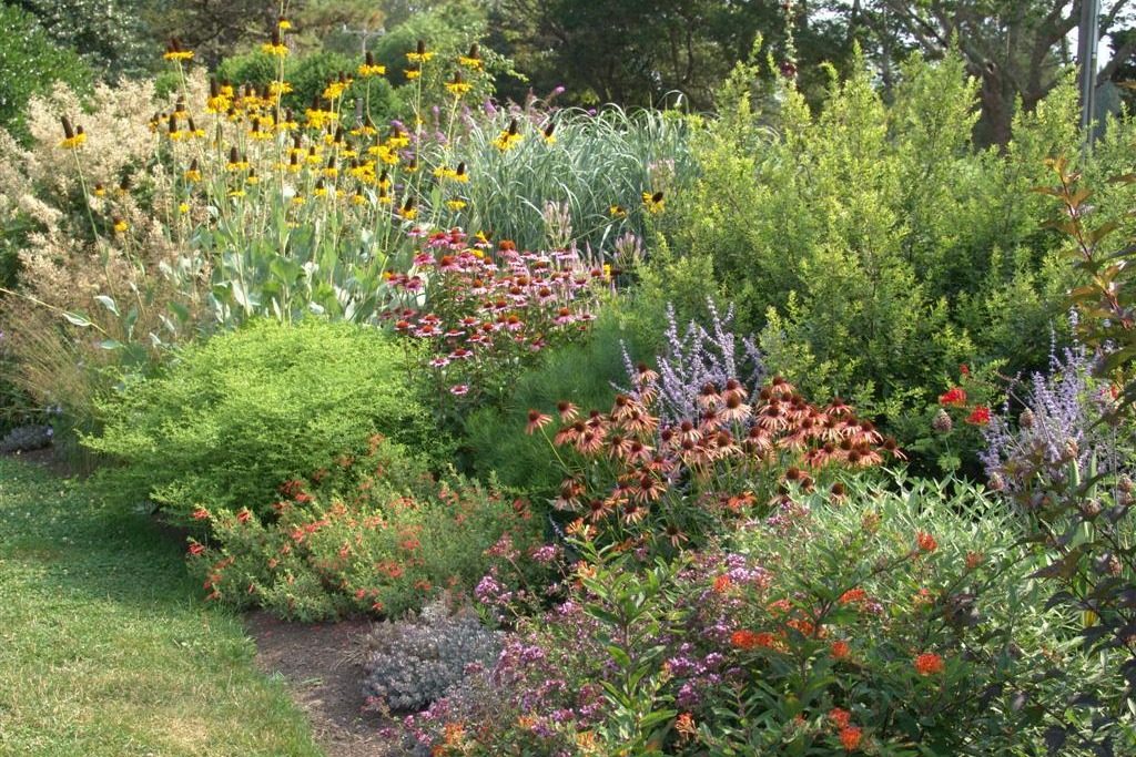 Green your yard plant a garden