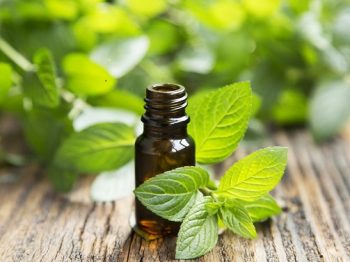 Peppermint-oil-mint-leaves