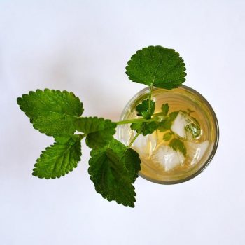 Healthy drinks - Lemon balm herbal-ice-tea