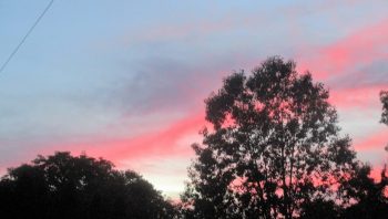 Summer Sunset