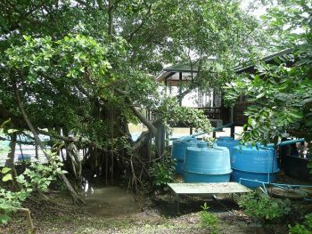 Saving rain water