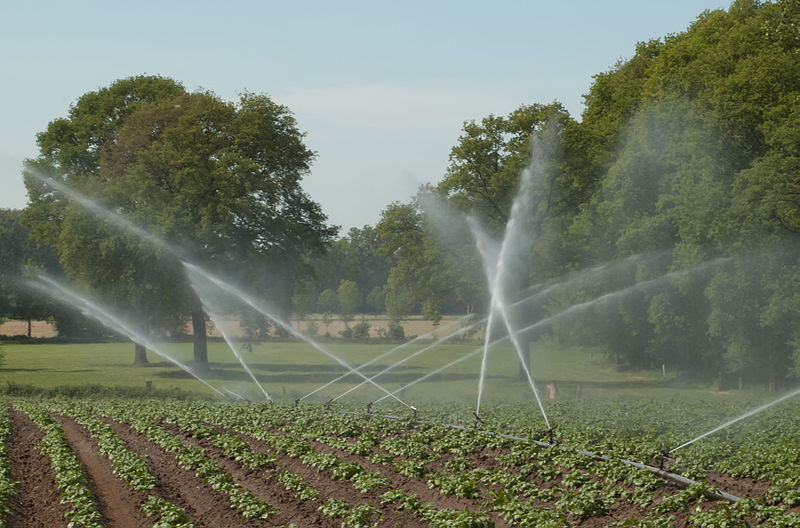 Watering organic agriculural
