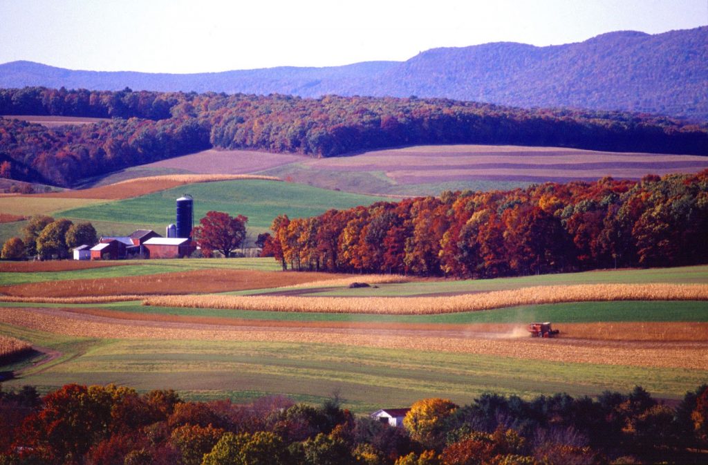 Farm land and organic farming