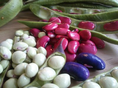 Healthy beans