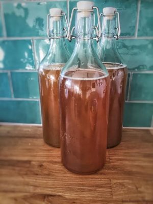 Kombucha a super food