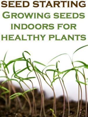 Seed-Starting-Growing-Seeds-Indoor 2