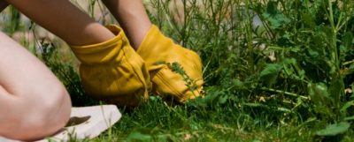 Tools for the yard and garden