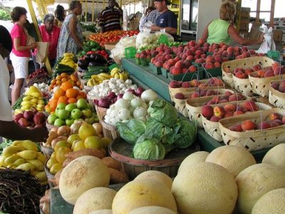 frugal healthy local food