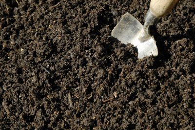 digging soil