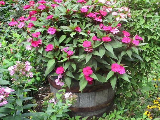 DIY flower barrel 