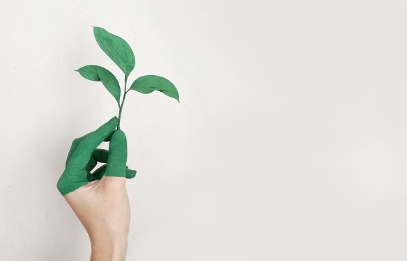 going green in your office
