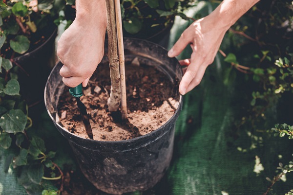 garden tools - trowel