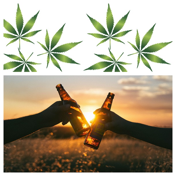 cannabis and alcohol