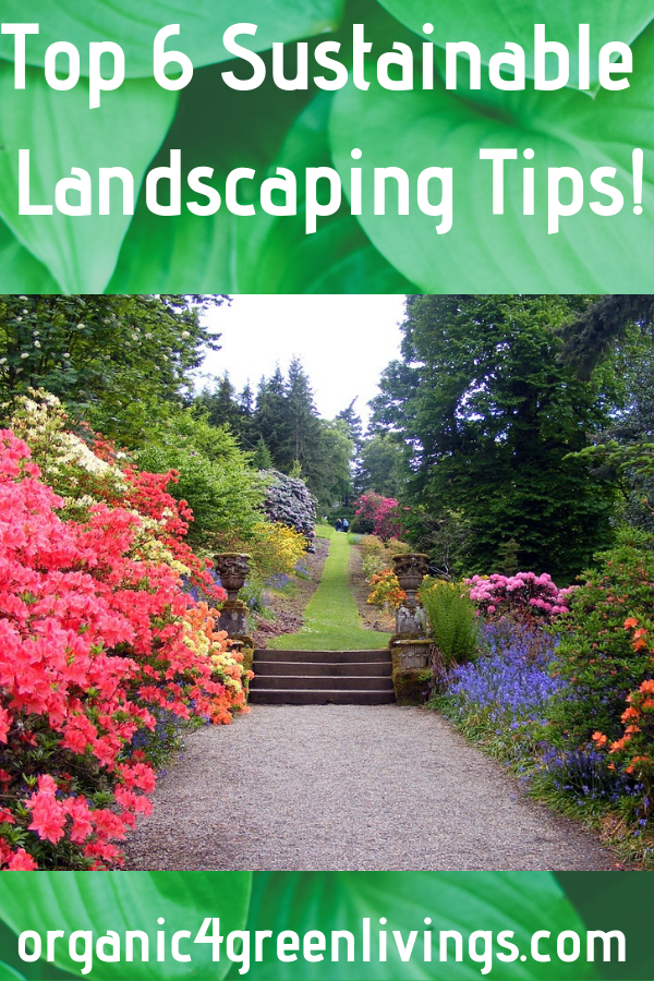Sustainable Landscaping Tips