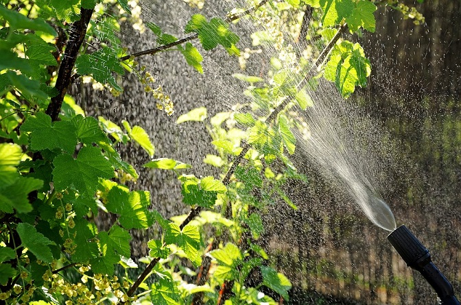 sustainable water wisely practices