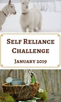 Self Reliance Challenge for 2019
