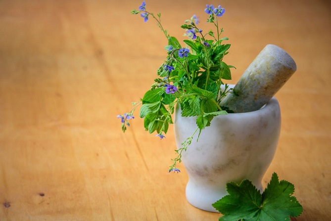 herbs for natural healing