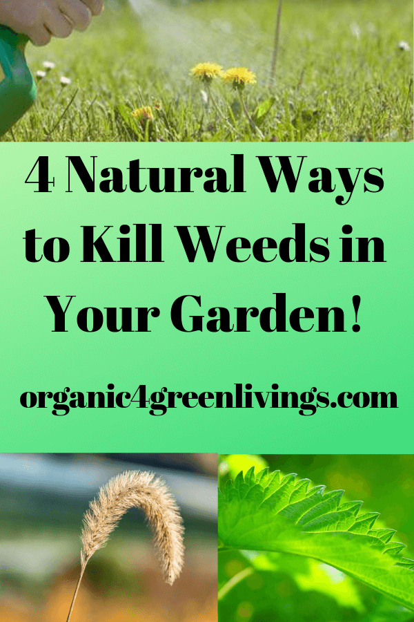 Natural weed killers for your garden