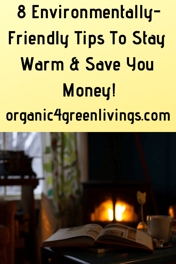environmentally-friendly tips to save you money