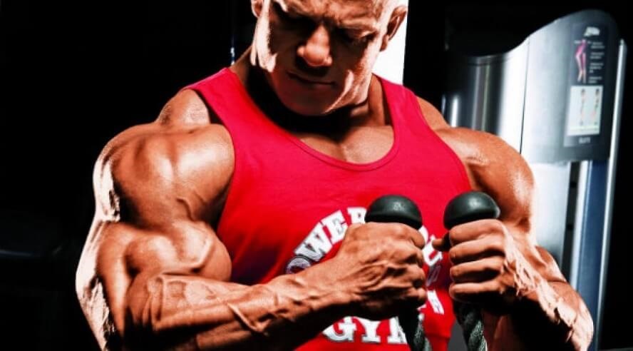 Exercise building biceps