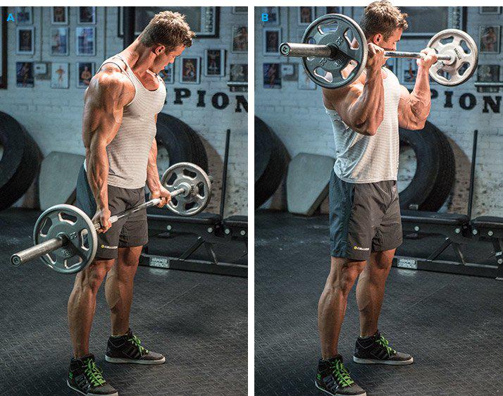 Barbell curl exercise 