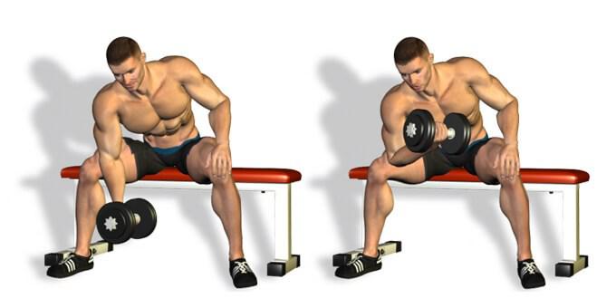 Exercise with dumbells