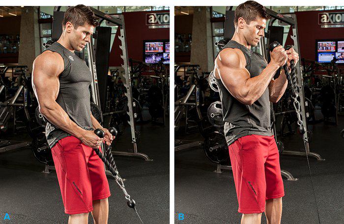 Exercise and working out