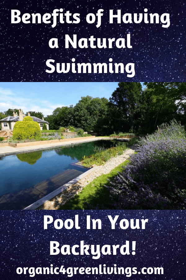 Benefits of a Natural Swimming Pool