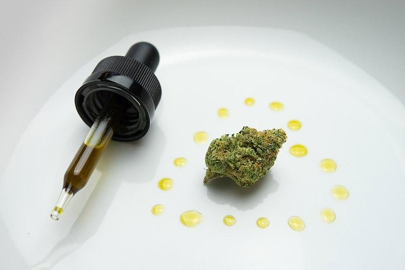 what is CBD oil