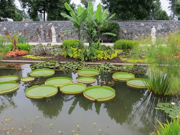 natural pool
