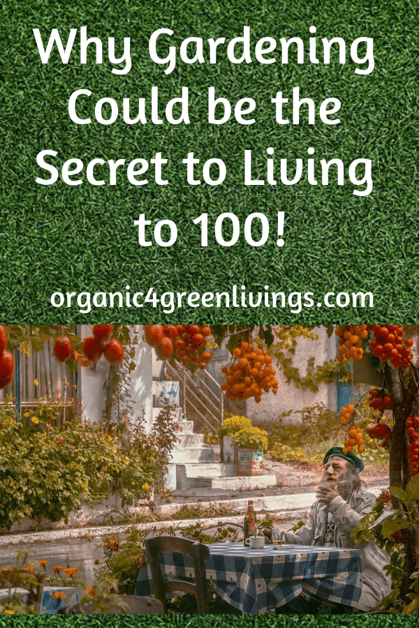 gardening for your well-being