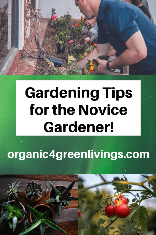 organic gardening tips and hacks