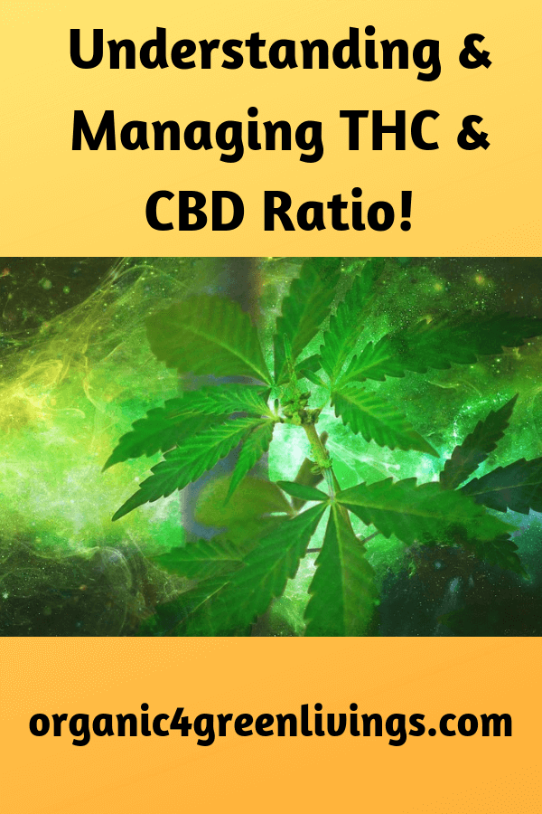 THC and CBD
