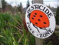 "Ways to Reduce Pesticide Exposure"