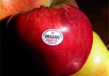 'Organic Apples & Their Health Benefits"
