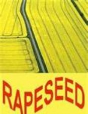 Canola Oil & Rapeseed"