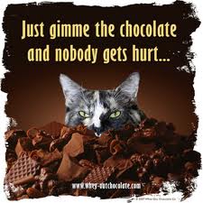 chocolate allergy