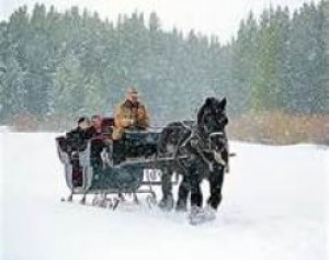 "Allegies & Christmas"