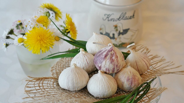 garlic a home remedy