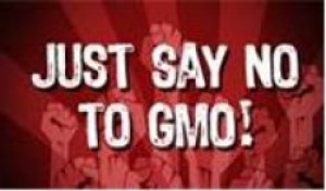 "NO GMO Pease"