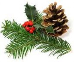"Green Christmas Gifts"
