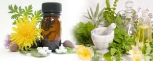 "7 Herbal Remedies for the Cold & Flu"