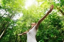 natural energy booster