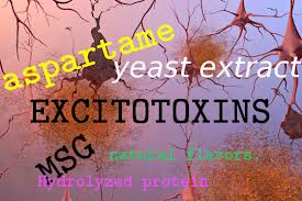 "Health Risks Of Excitotoxins"